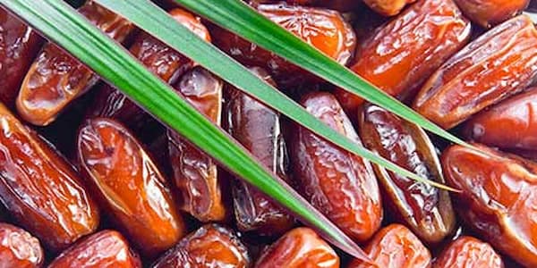 تصویر 4 از خرید خرما شاهانی صادراتی + قیمت عالی باکیفیت